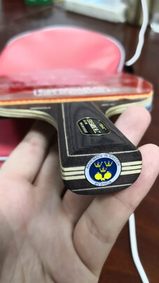 乒乓球拍底板