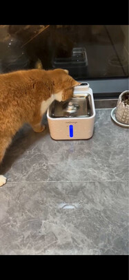 宠物饮水机