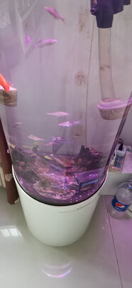 鱼缸净水剂