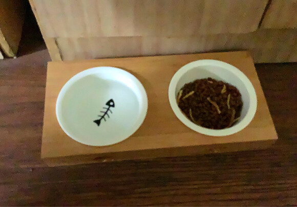 猫碗狗碗