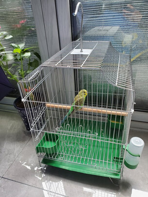 鸟笼