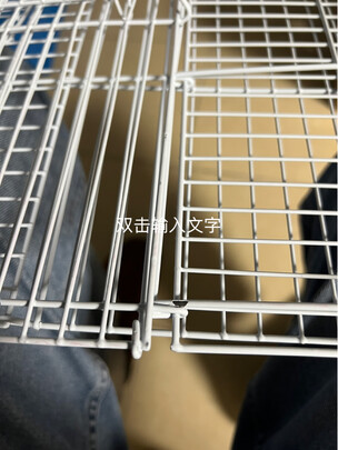 鸟笼