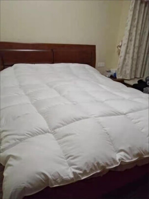 源生活源生活鹅绒被一个月后开始后悔了诉说原因