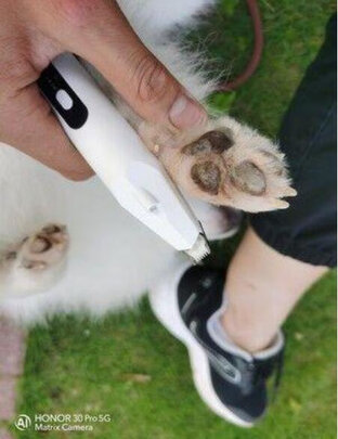  猫咪剃脚毛器