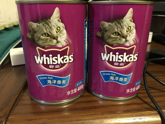 猫罐头