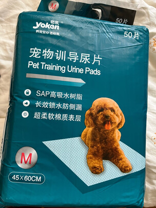 宠物纸尿裤