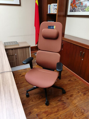 ZUOWE座為人體工學椅電腦椅|知乎評測：ZUOWE座為人體工學椅質量怎么樣?到底值不值得入手呀？