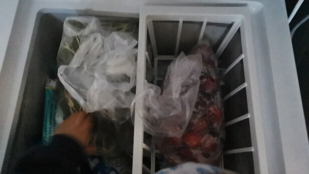 志高CHIGO小冰柜110L-保鲜冷藏家用冷冻小型-省电迷你冷柜，好用吗？ - 淘实惠