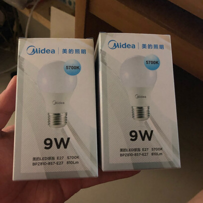 led灯泡