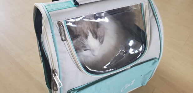 猫包