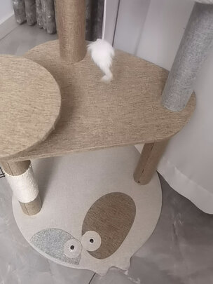 猫爬架