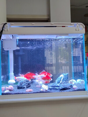 一:选购松宝鱼缸鱼缸水族箱建议