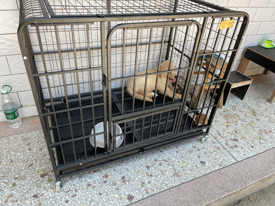  狗笼