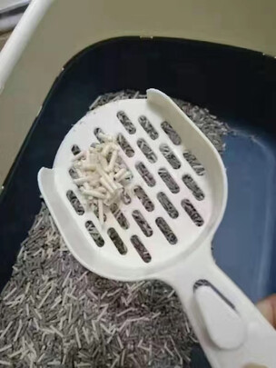 猫砂
