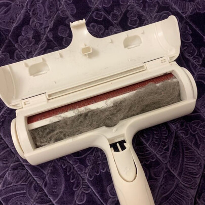 狗毛猫毛清理器