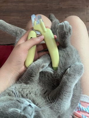猫咪指甲剪