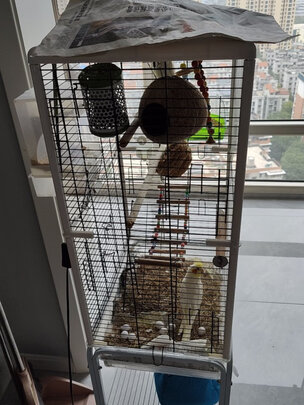 鸟笼
