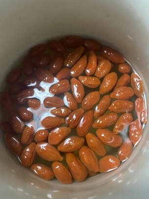 枸杞