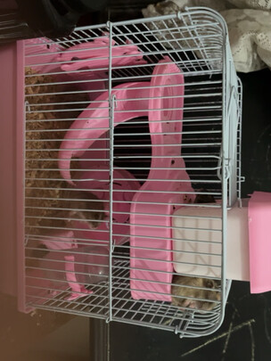 仓鼠水壶
