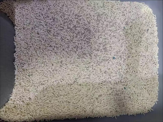 猫砂