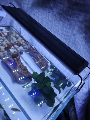 迪普尔 鱼缸灯led灯水草灯爆藻灯水族箱草缸灯管夹灯通用 三排高亮蓝