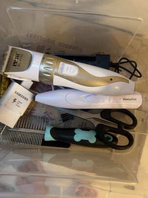 宠物磨甲器
