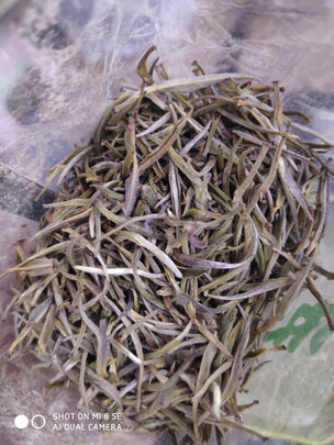 茶