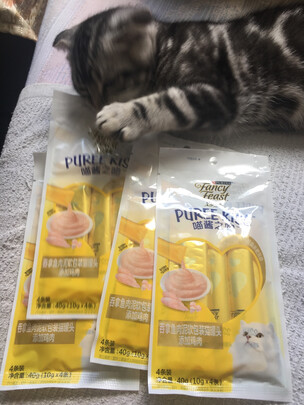 猫条猫零食