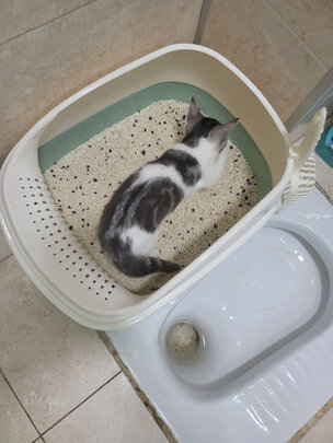 猫砂盆