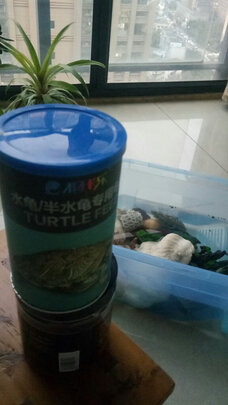 龟粮