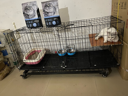  猫笼