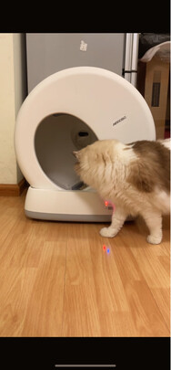 猫砂铲