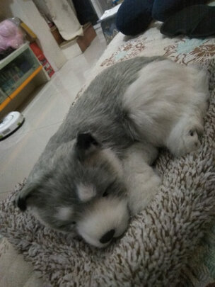 汽车竹炭包