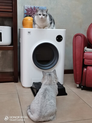 猫砂铲