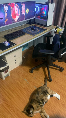 NBG40评判质量差有依据吗？