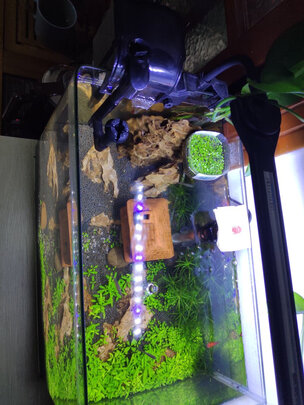 鱼缸过滤器