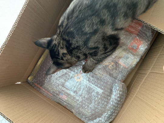 猫粮