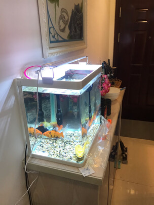 鱼缸灯led灯