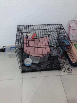  猫笼