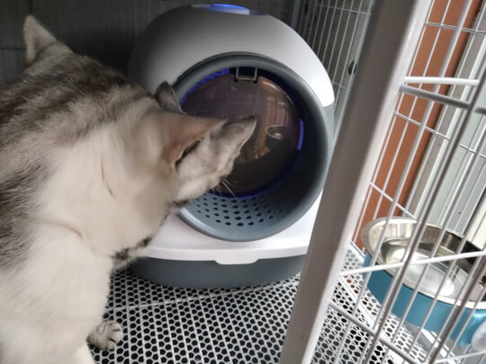 猫砂盆