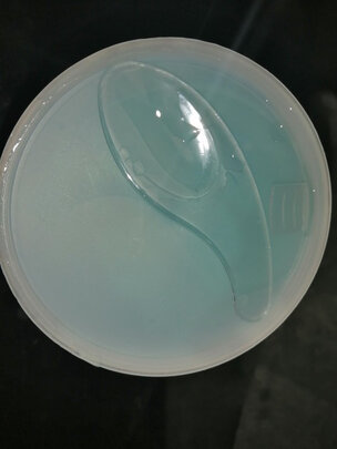 眼膜