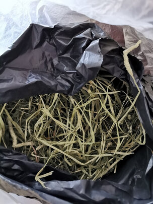 兔粮提摩西草