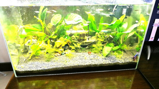 鱼缸水泵