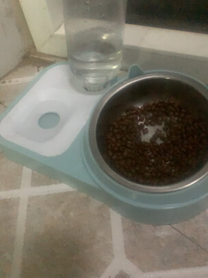 猫碗狗碗