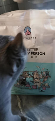 膨润土猫砂