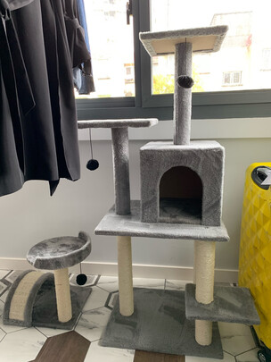 猫爬架