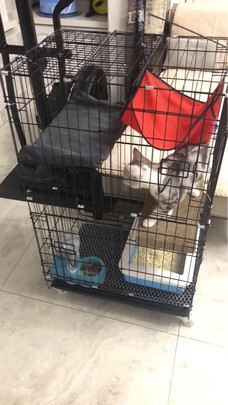  猫笼