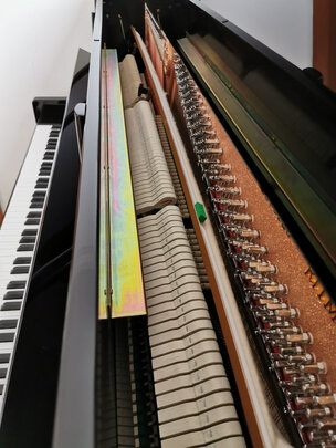 求助专家:珠江钢琴里特米勒J6 127cm怎么样?真实买家亲身体验反馈