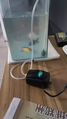 鱼缸氧气泵
