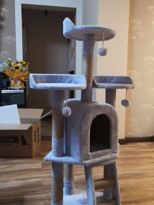 猫爬架